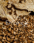 Bai Zhu - 白术 - White Atractylodes Rhizome - Raw Herb