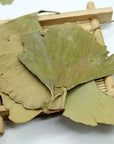 Yin Xing Ye - 银杏叶 - Ginkgo Leaf - Raw Herb