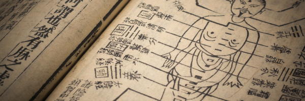 Harnessing Timeless Wisdom for Modern Practice: Integrating the Essence of Classical Chinese Herbal Medicine