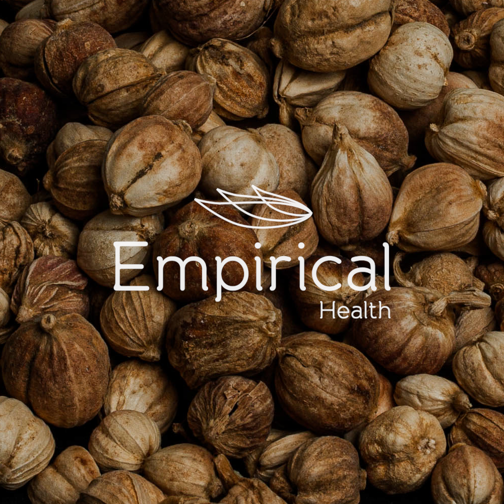 Bai Dou Kou - 白豆寇 - Round Cardamom Fruit - Raw Herb