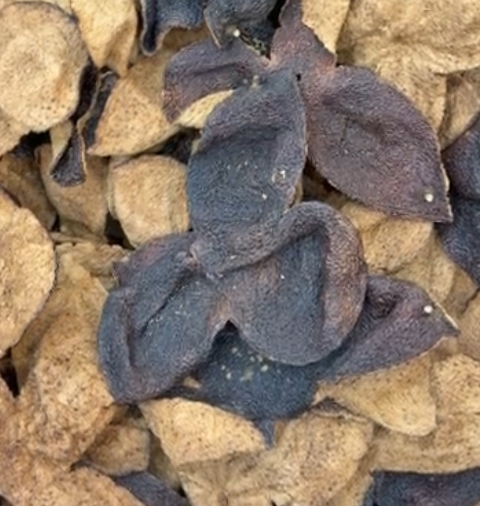 Chen Pi - Aged for 20 years (AA) - 陈皮 - Orange Peel, Citrus Peel, Tangerine Peel - Aged for 20 years