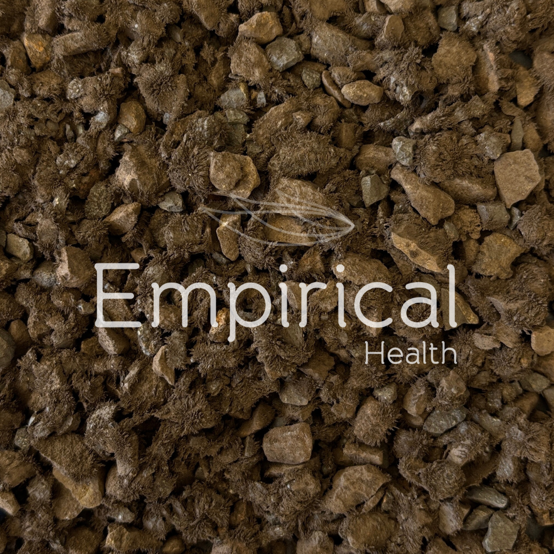 Ci Shi (Calcinied) - 磁石 - Magnetitum (Calcinied) - Raw Herb