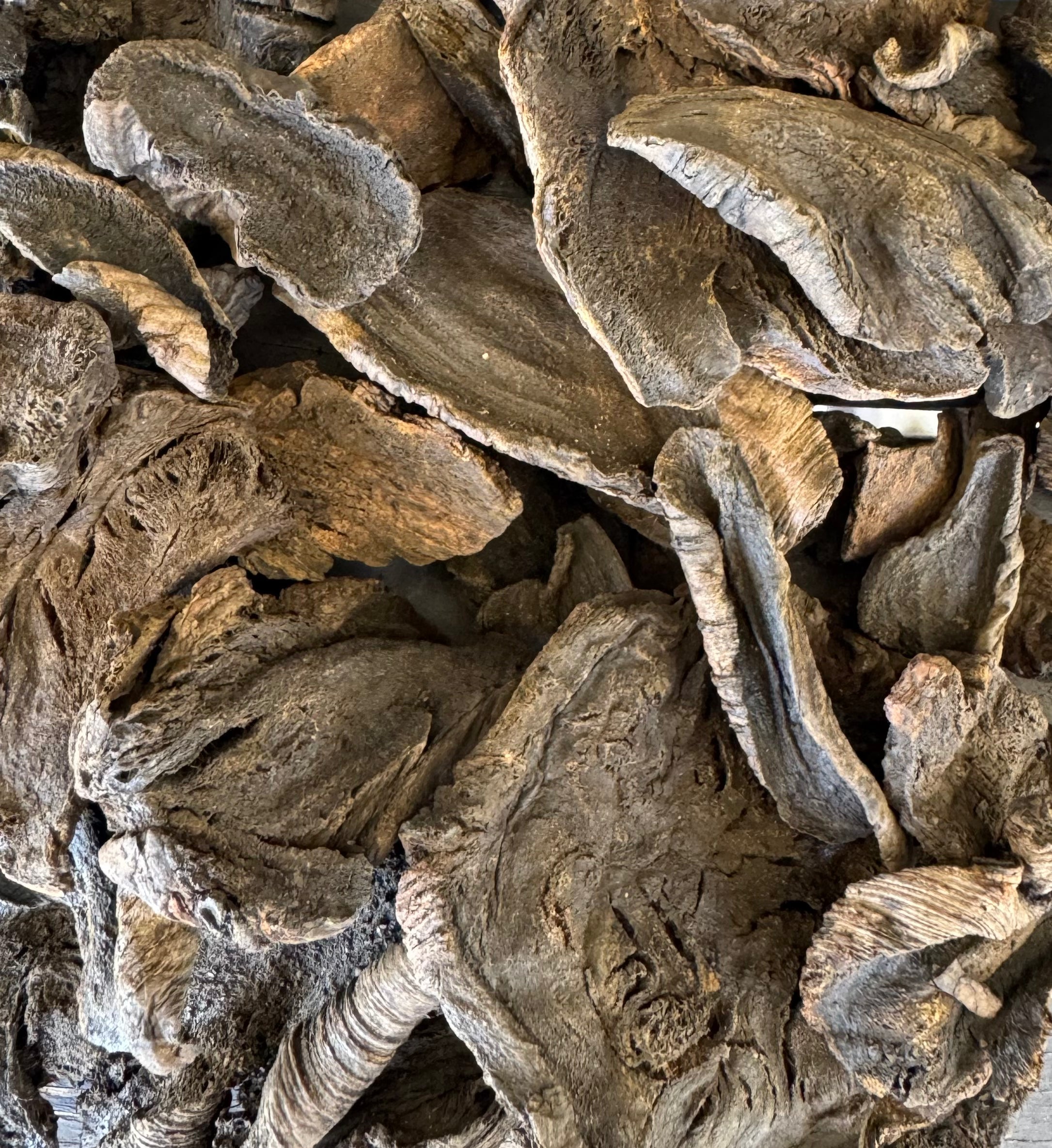 Da Huang (Jiu Zhi) - Rhubarb Root and Rhizome Prepared - Raw Herb