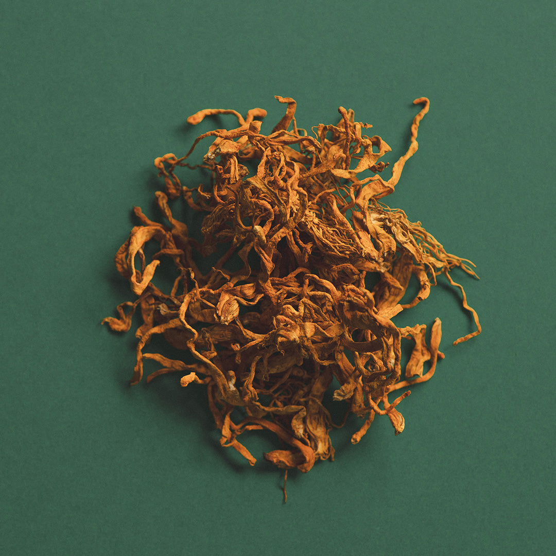 CORDYCEPS HONEY PEARLS