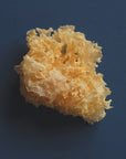 TREMELLA HONEY PEARLS