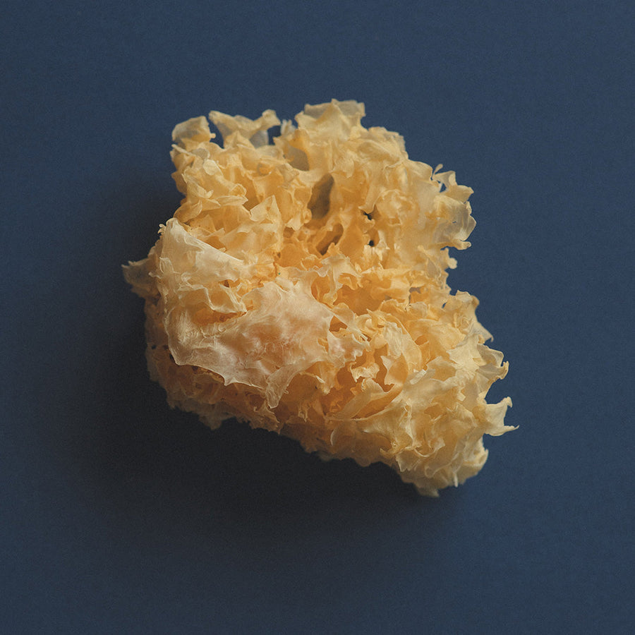 TREMELLA HONEY PEARLS