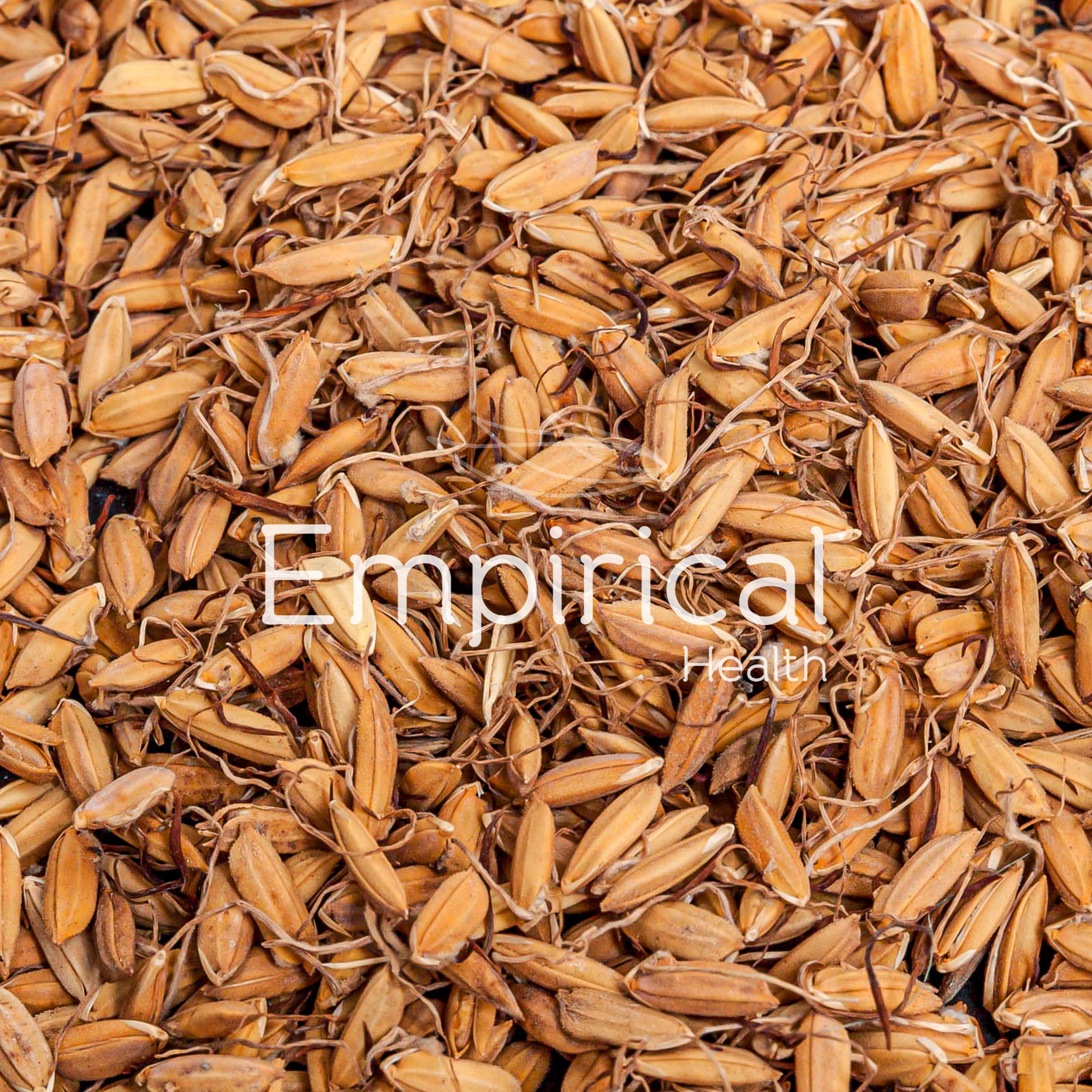 Gu Ya (Chao) - 谷芽 - Rice Sprout (Fried) - Raw Herb - write Raw