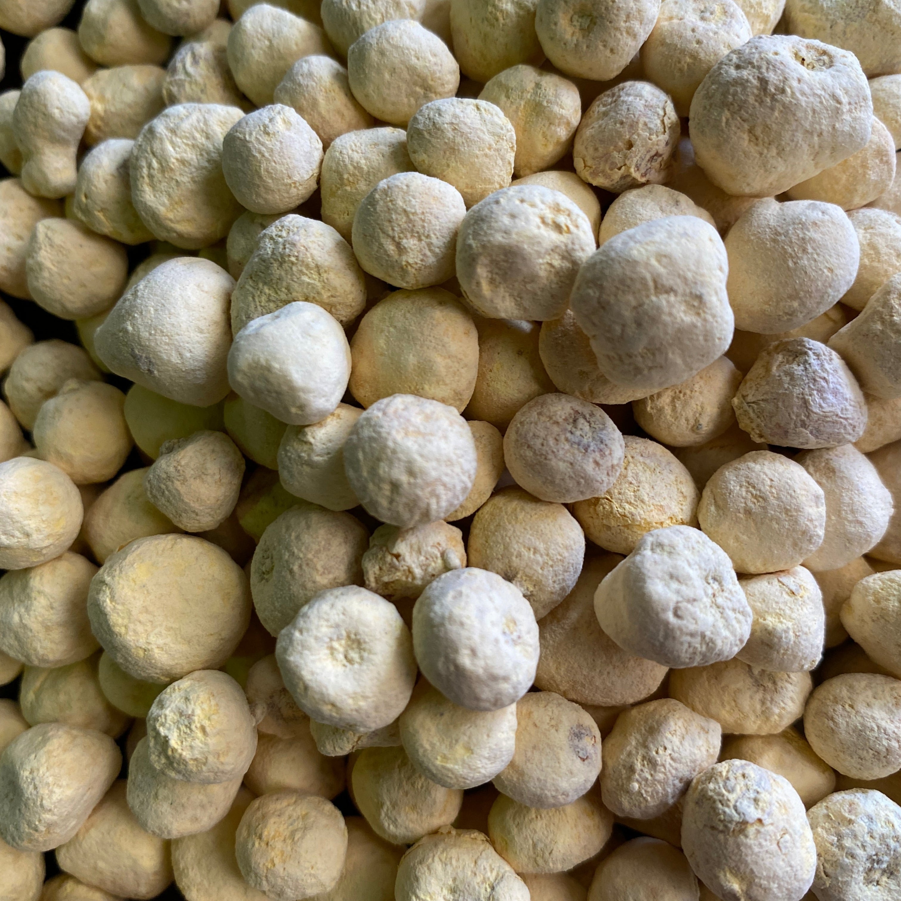 Ban Xia (Fa) - Pinellia Rhizome Prepared - Raw Herb