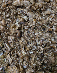 Chan Tui - 蝉蜕 - Cicada Moulting - Raw Herb