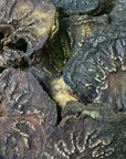 Rou Cong Rong - 肉苁蓉 - Fleshy Stem of the Broomrape - Raw Herb