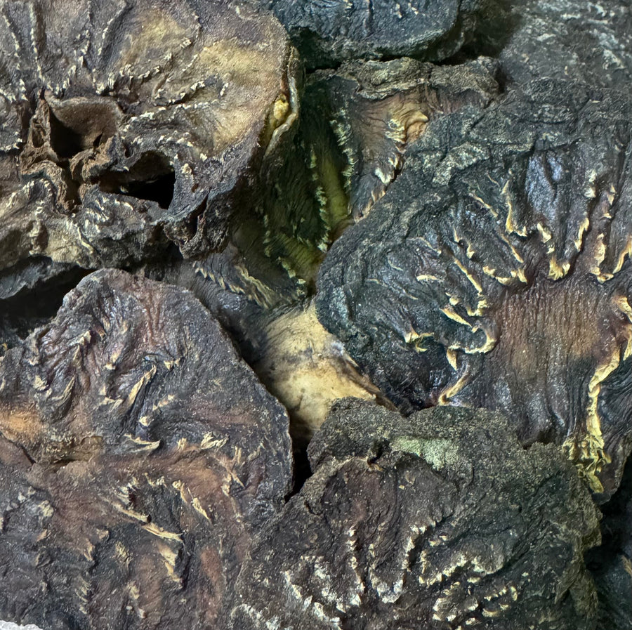 Rou Cong Rong - 肉苁蓉 - Fleshy Stem of the Broomrape - Raw Herb. Chinese ...