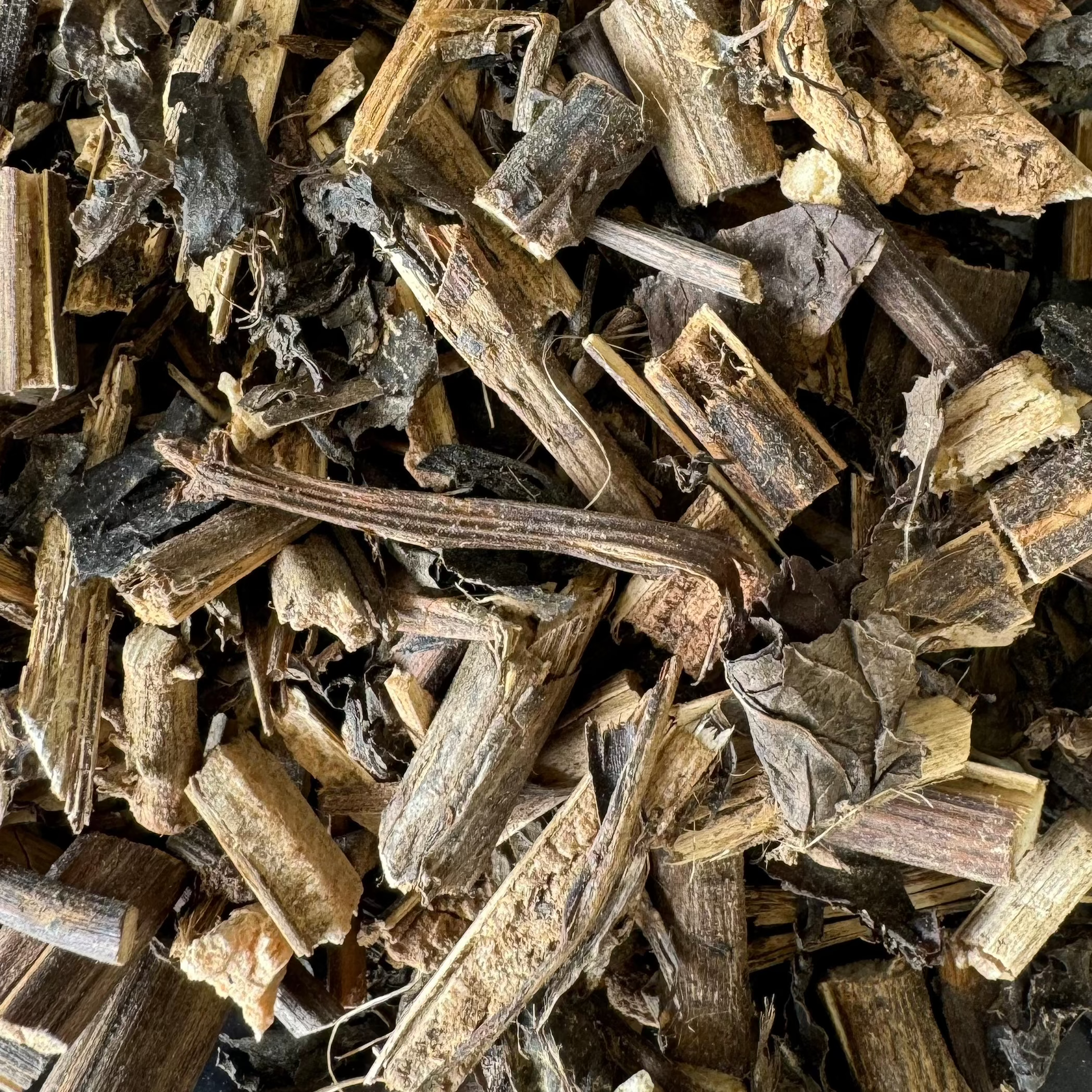 Jie Gu Mu - 接骨木 - Elderberry - Raw Herb