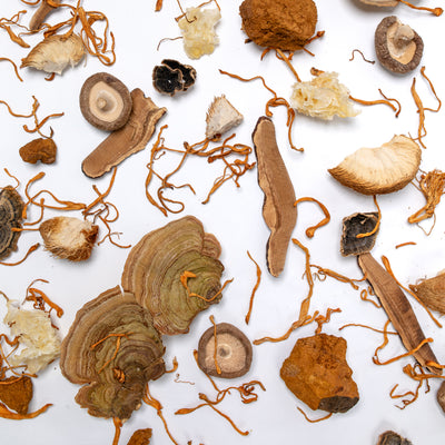 Mushroom Powders