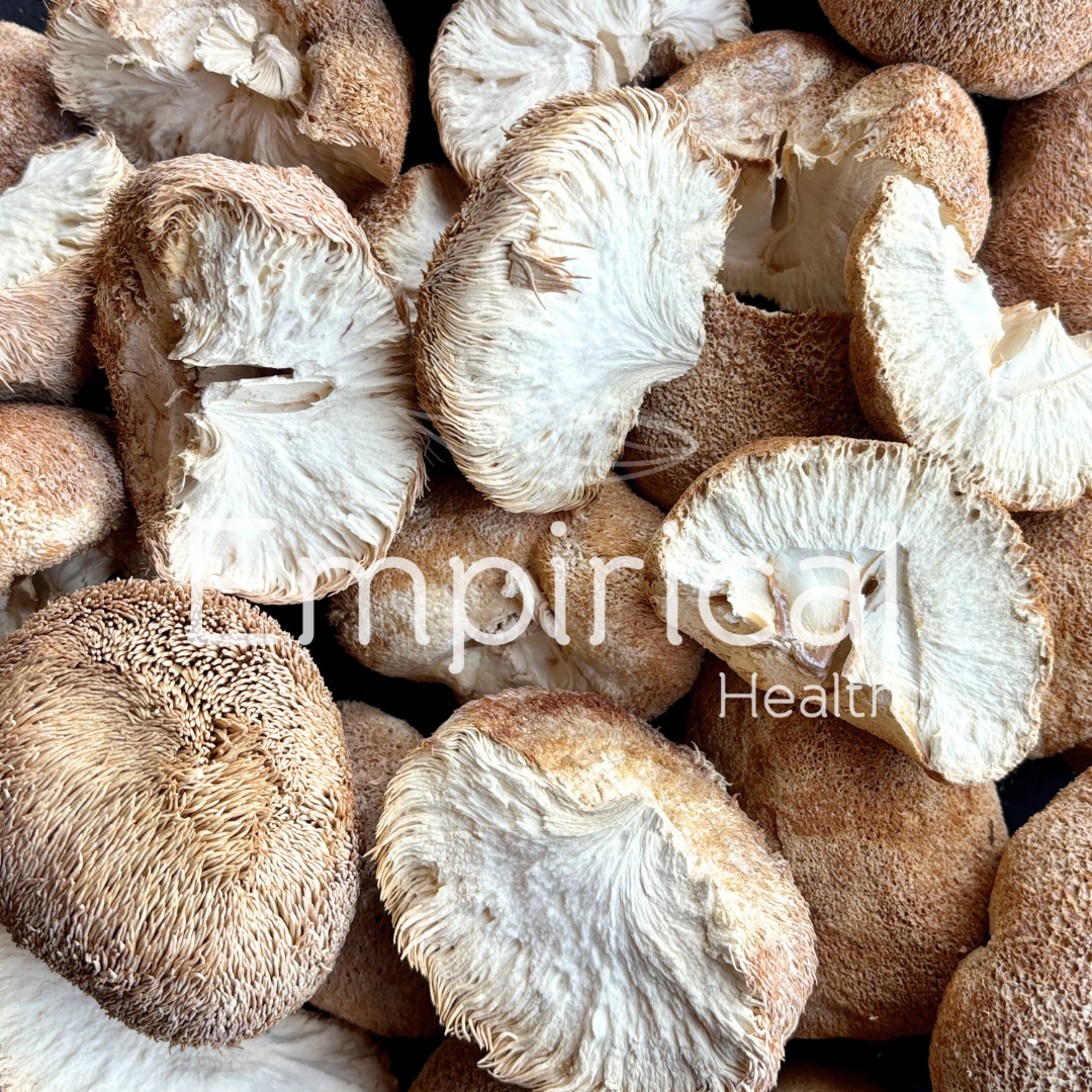 Lion's Mane (tea cut) - Hericium erinaceus - Raw Herb
