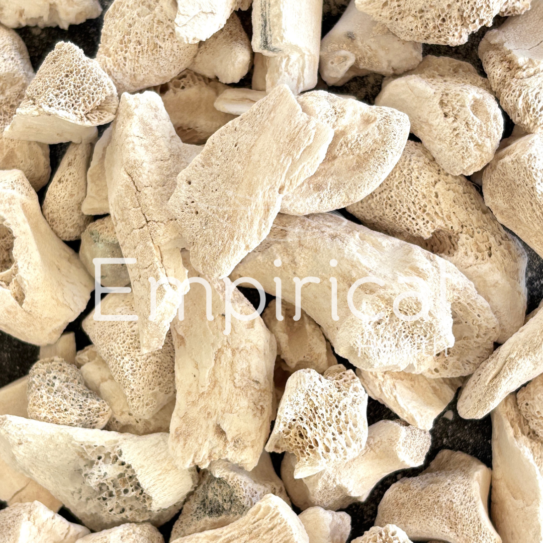 Long Gu (Duan) - 龙骨- Fossilized Mammal Bones - Raw Herb