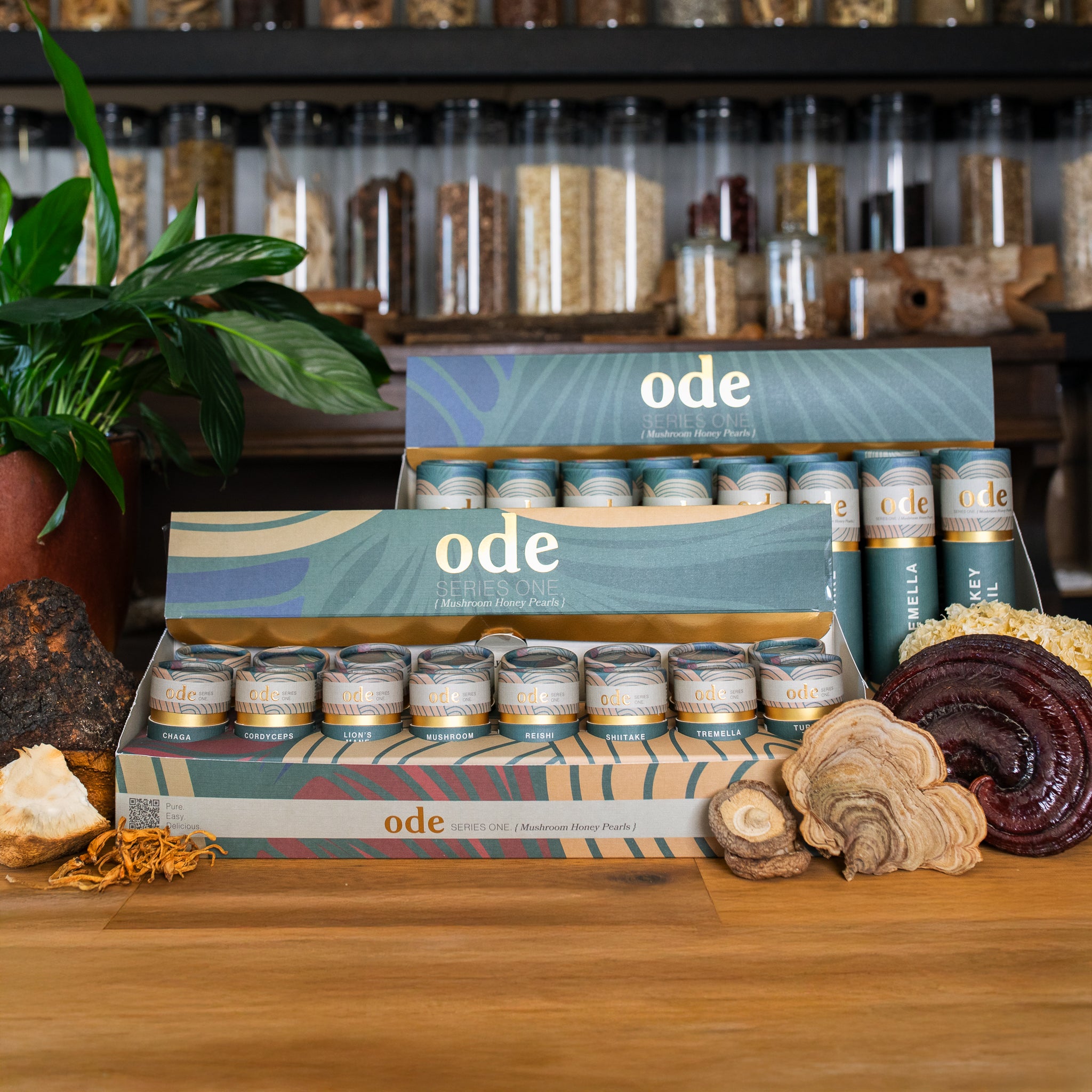 MUSHROOM HONEY PEARL MIXED BOX (16 Tubes)