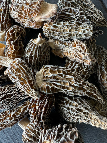 Wild Crafted Morel Mushroom - Dried