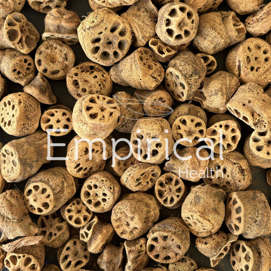 Ou Jie - 藕節 - Nodus Nelumbo Rhizomatis - Raw Herb