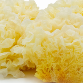 Tremella (Whole) - Tremella fuciformis - Raw Herb