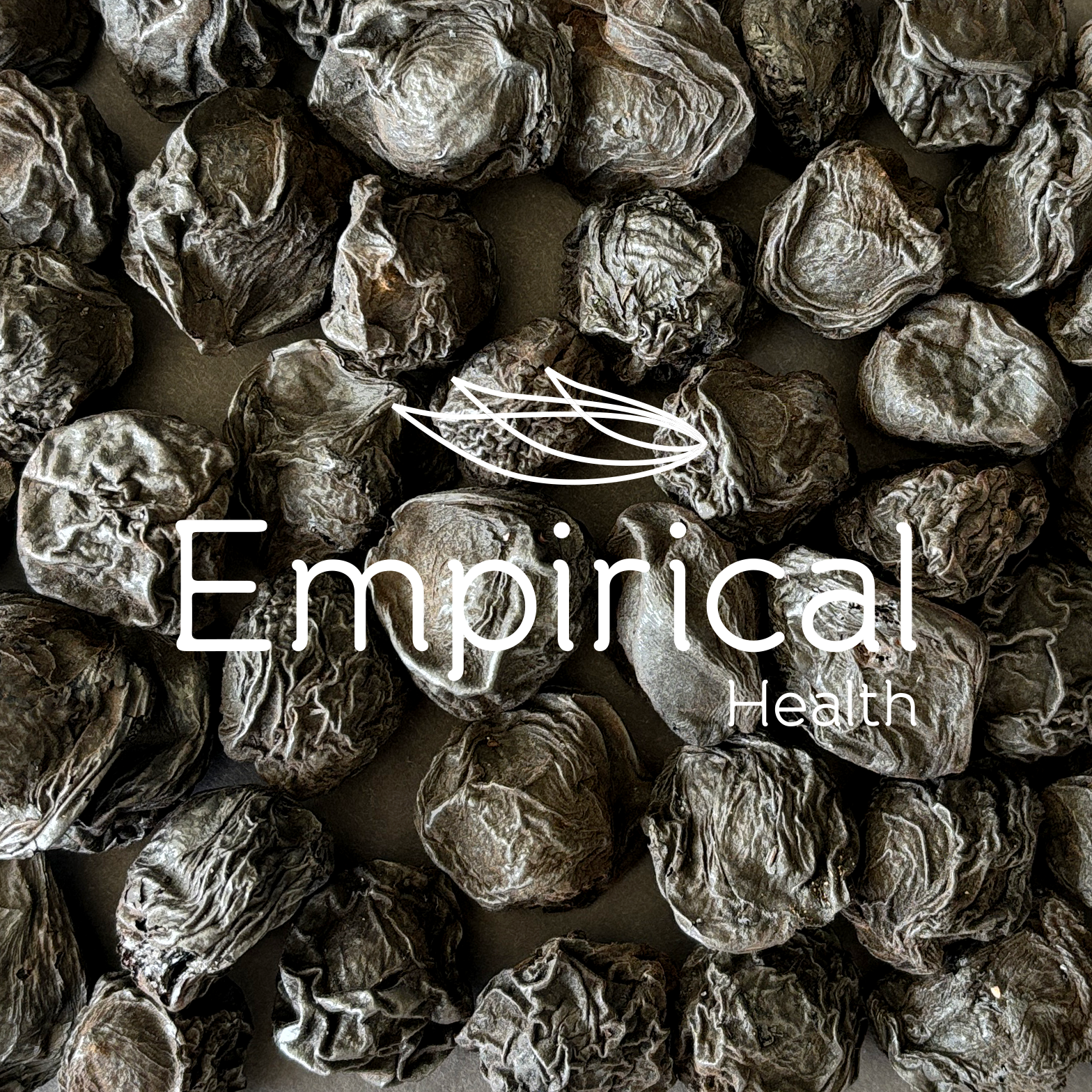 Wu Mei (AA) - 乌梅 - Mume Fruit