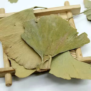 Yin Xing Ye - 银杏叶 - Ginkgo Leaf - Raw Herb