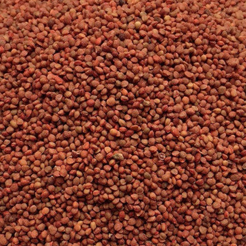 Chu Shi Zi - 楮實子 - Fructus Broussonetiae - Raw Herb